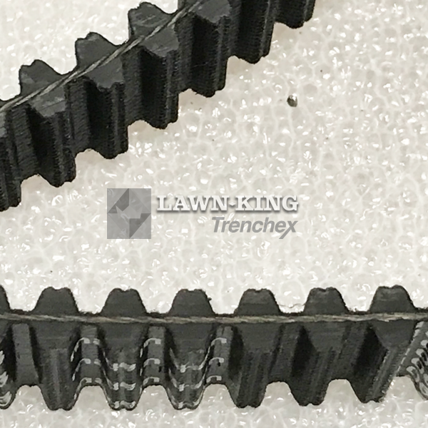 135065601/0 - Image 3
