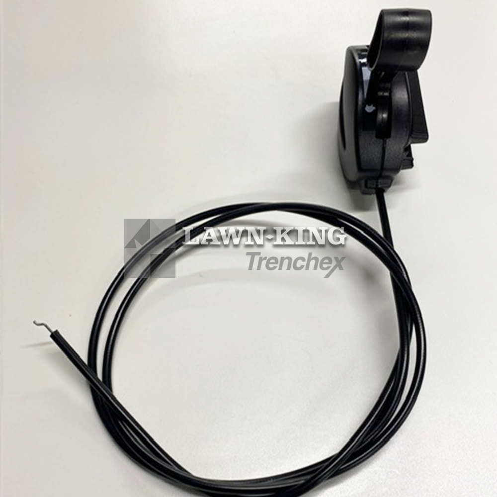 181005516/0 - Image 2