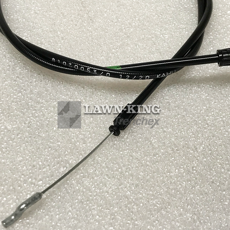 181030053/0 - Image 2