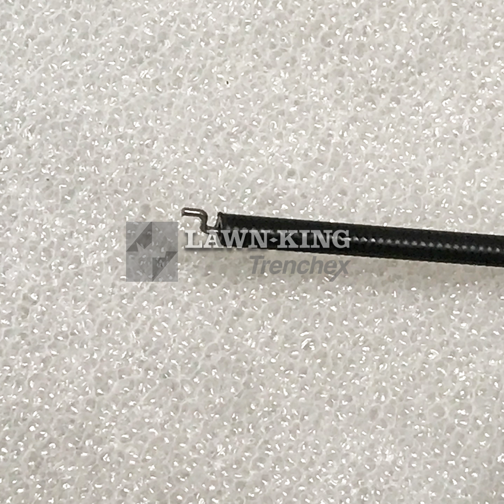 481007160/0 - Image 3