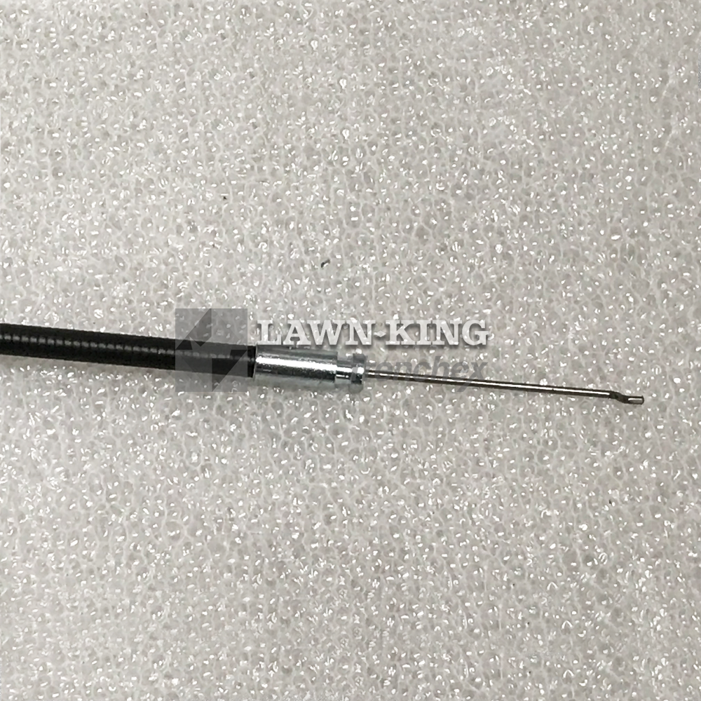 481007160/0 - Image 2